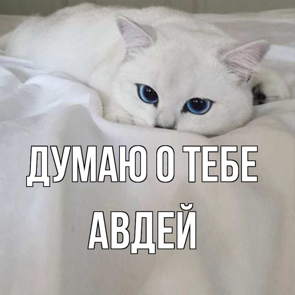 Открытка на каждый день с именем, Авдей Думаю о тебе я очень по тебе скучаю и тоскую Прикольная открытка с пожеланием онлайн скачать бесплатно 