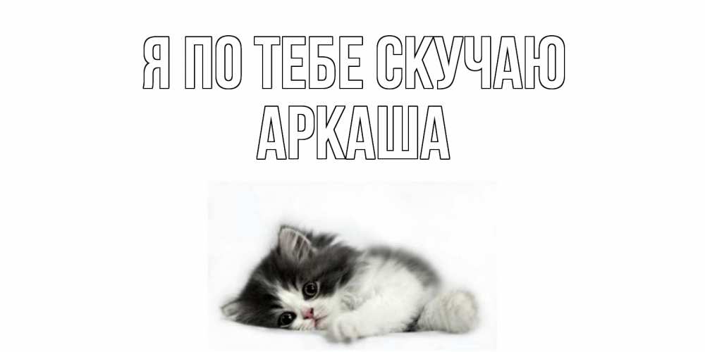 Открытка на каждый день с именем, Аркаша Я по тебе скучаю кот, скука Прикольная открытка с пожеланием онлайн скачать бесплатно 