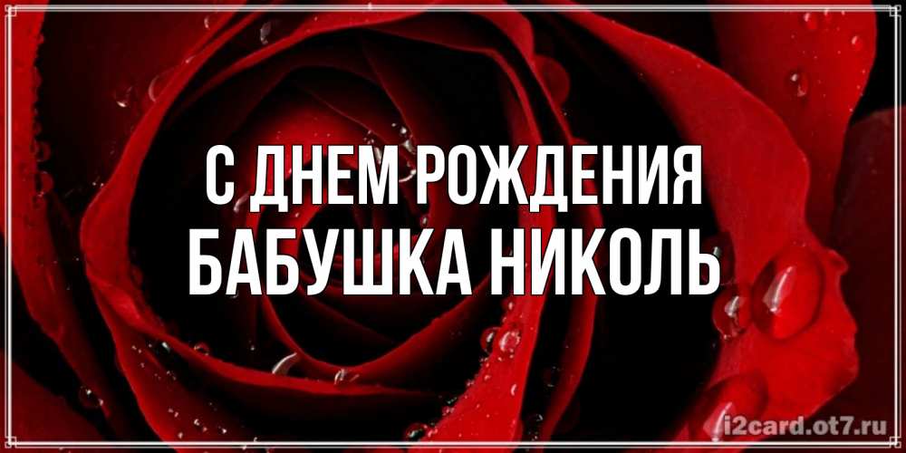 Открытка на каждый день с именем, Бабушка-Николь С днем рождения крупная бордовая роза Прикольная открытка с пожеланием онлайн скачать бесплатно 