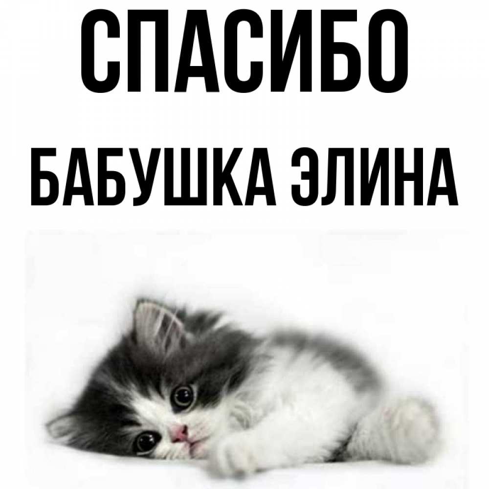 Открытка на каждый день с именем, Бабушка-Элина Спасибо черный и белый кот Прикольная открытка с пожеланием онлайн скачать бесплатно 