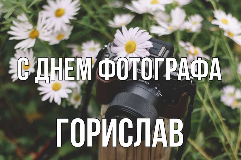 Открытка на каждый день с именем, Горислав С днем фотографа с днем фотографа Прикольная открытка с пожеланием онлайн скачать бесплатно 