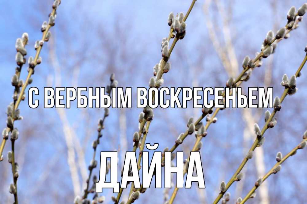 Открытка на каждый день с именем, Дайна С вербным воскресеньем верба Прикольная открытка с пожеланием онлайн скачать бесплатно 