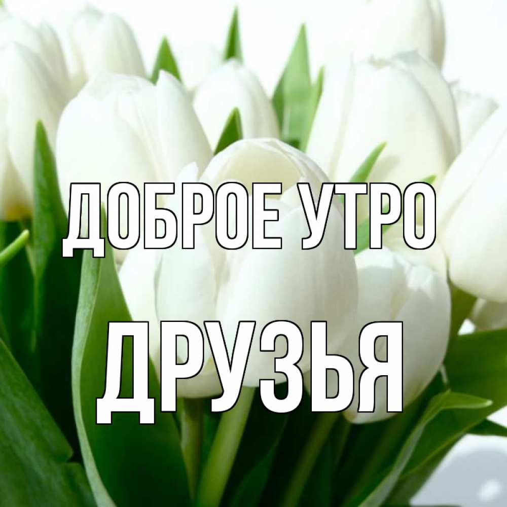 Открытка на каждый день с именем, Друзья Доброе утро открытки на каждый день по именам Прикольная открытка с пожеланием онлайн скачать бесплатно 