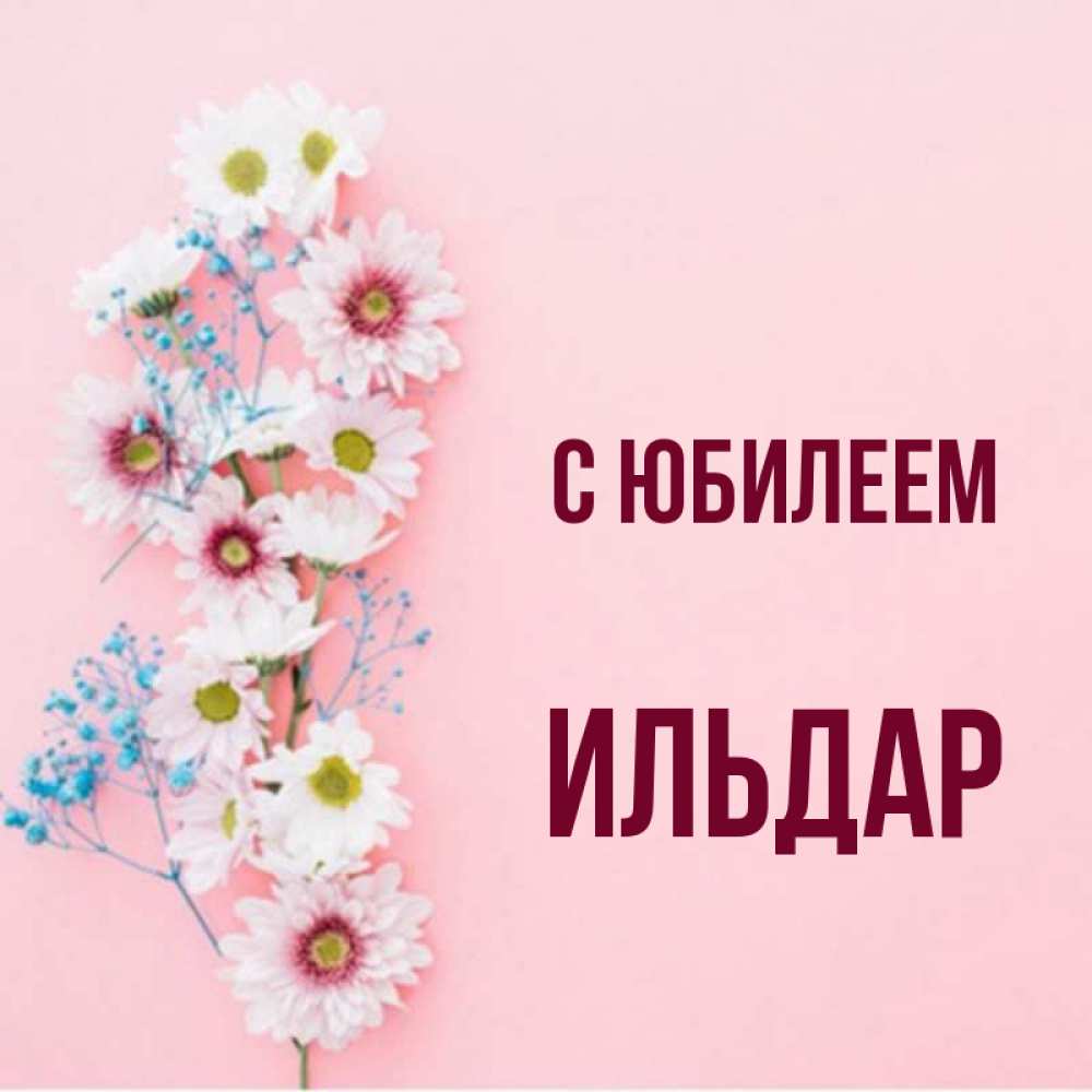 Открытка на каждый день с именем, Ильдар С юбилеем Родная моя с днем рождения тебя картинка с цветами белыми и голубыми Прикольная открытка с пожеланием онлайн скачать бесплатно 