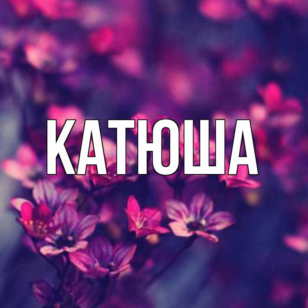 Открытка на каждый день с именем, Катюша Главная небольшие цветы 1 Прикольная открытка с пожеланием онлайн скачать бесплатно 
