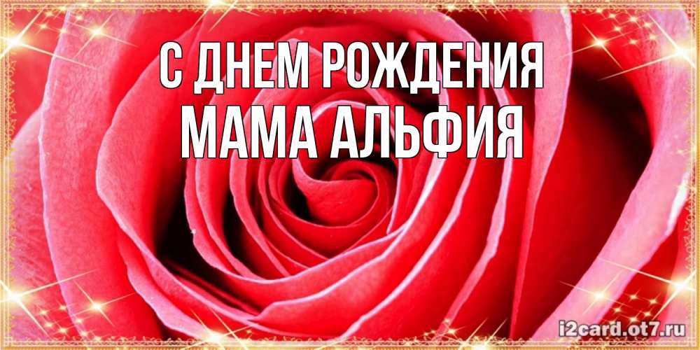 Открытка на каждый день с именем, Мама-Альфия С днем рождения розовая роза очень крупный бутон Прикольная открытка с пожеланием онлайн скачать бесплатно 