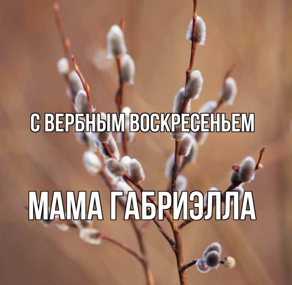 Открытка на каждый день с именем, Мама-Габриэлла С вербным воскресеньем верба Прикольная открытка с пожеланием онлайн скачать бесплатно 