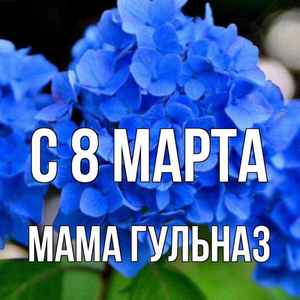 Открытка на каждый день с именем, Мама-Гульназ С 8 МАРТА синие цветы Прикольная открытка с пожеланием онлайн скачать бесплатно 