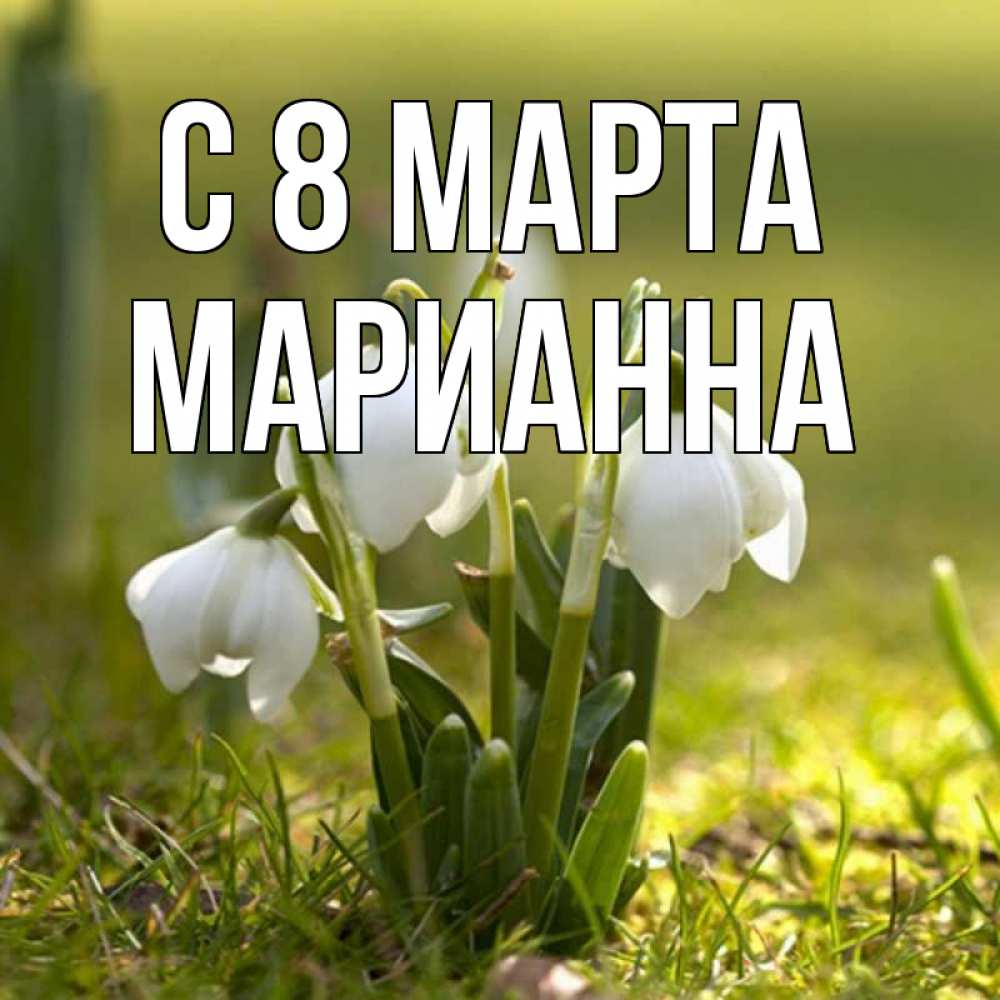 Открытка на каждый день с именем, Марианна С 8 марта ранние цветы 2 Прикольная открытка с пожеланием онлайн скачать бесплатно 