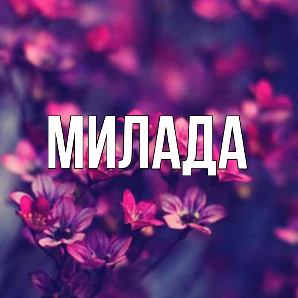 Открытка на каждый день с именем, Милада Главная небольшие цветы 1 Прикольная открытка с пожеланием онлайн скачать бесплатно 