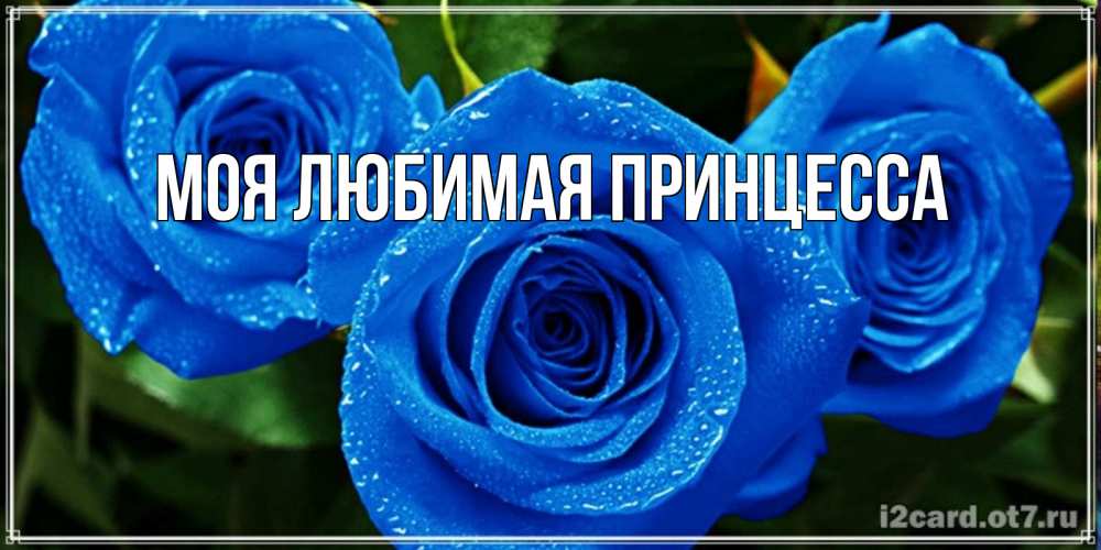 Открытка на каждый день с именем, Моя-Любимая-Принцесса Главная розы с синим цветом Прикольная открытка с пожеланием онлайн скачать бесплатно 