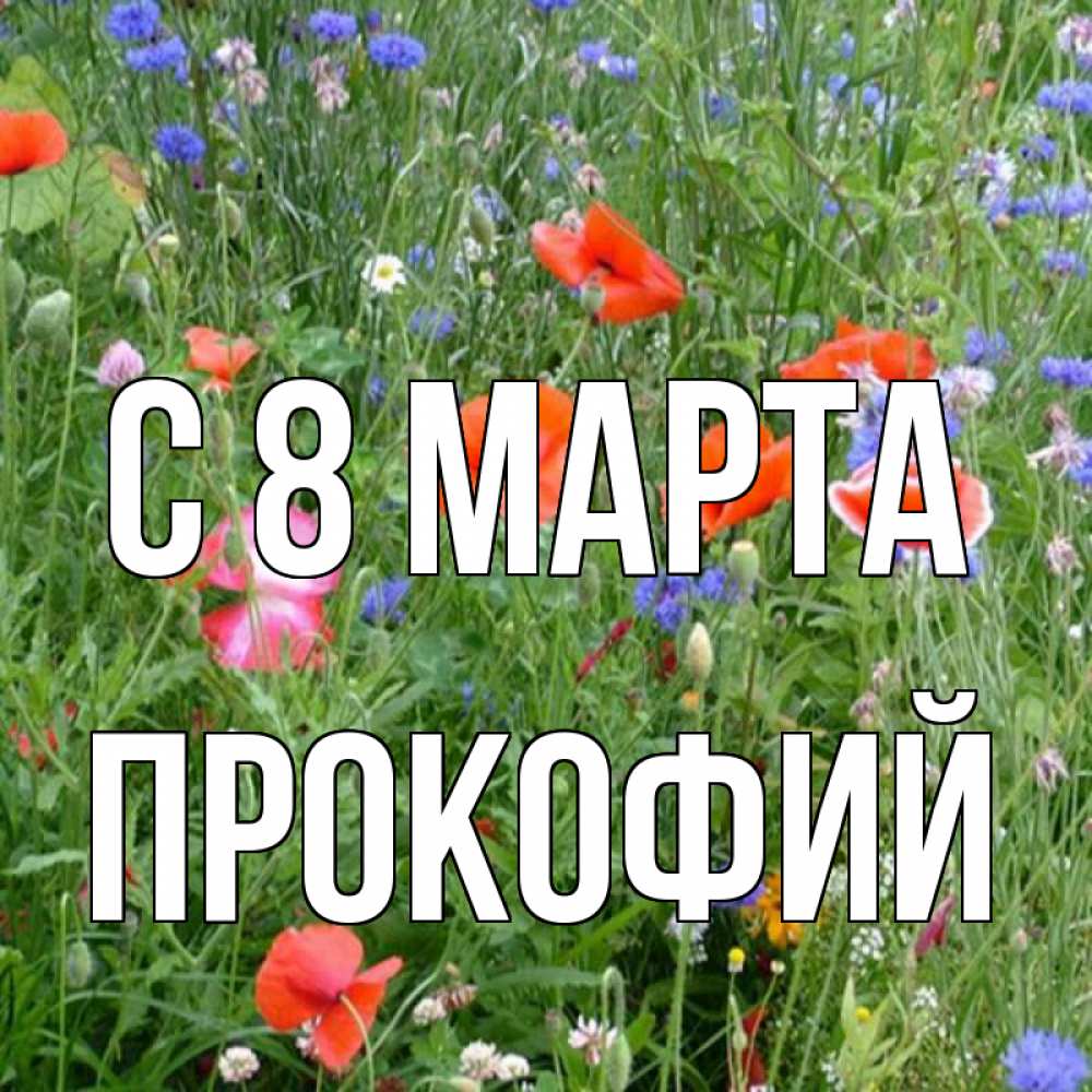 Открытка на каждый день с именем, Прокофий С 8 МАРТА международный женский день 4 Прикольная открытка с пожеланием онлайн скачать бесплатно 