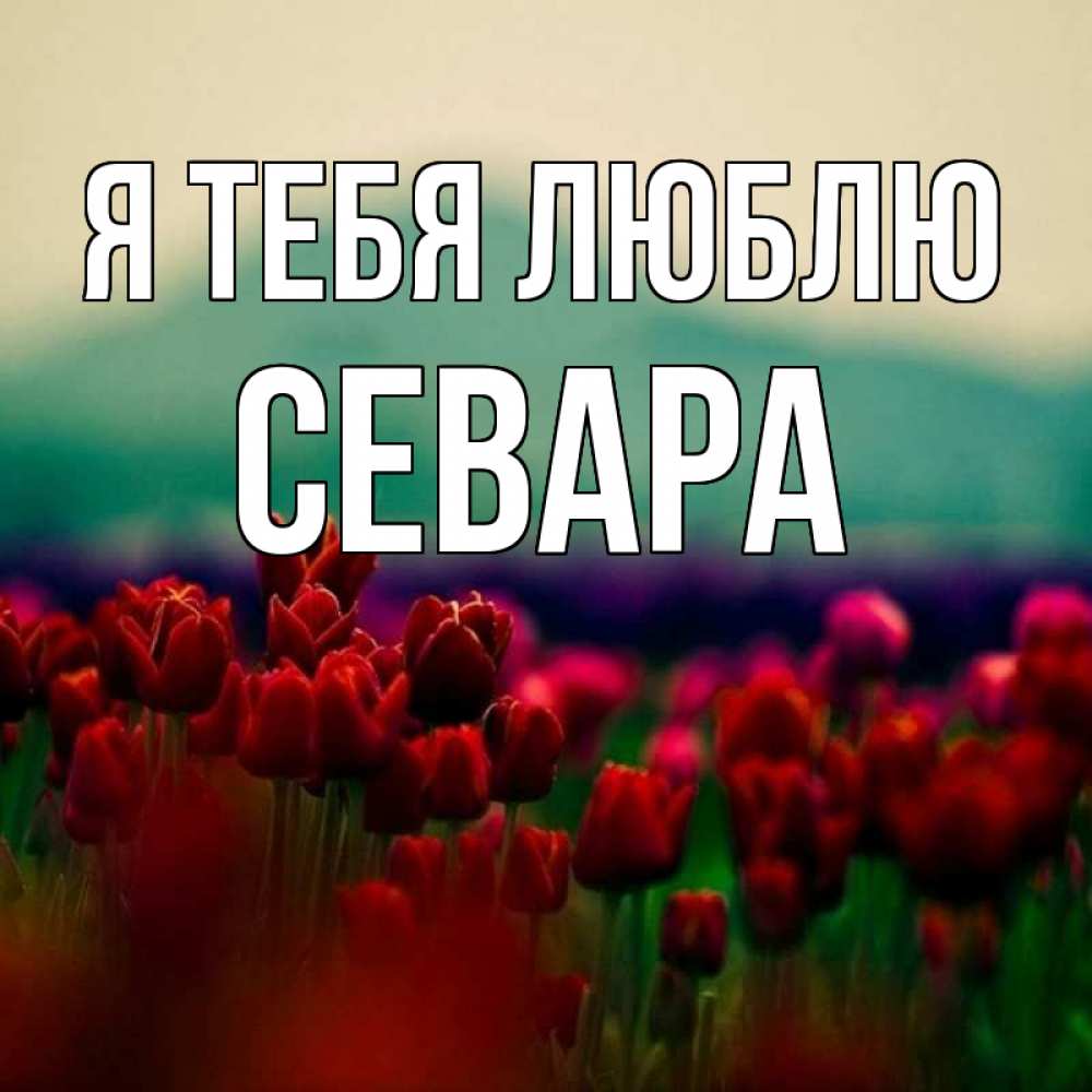 С Днем Рождения Севара
