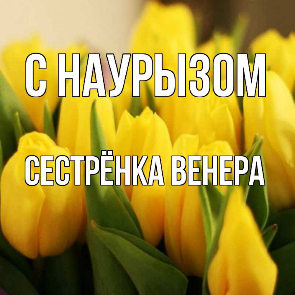 Открытка на каждый день с именем, Сестрёнка-Венера С наурызом цветы Прикольная открытка с пожеланием онлайн скачать бесплатно 