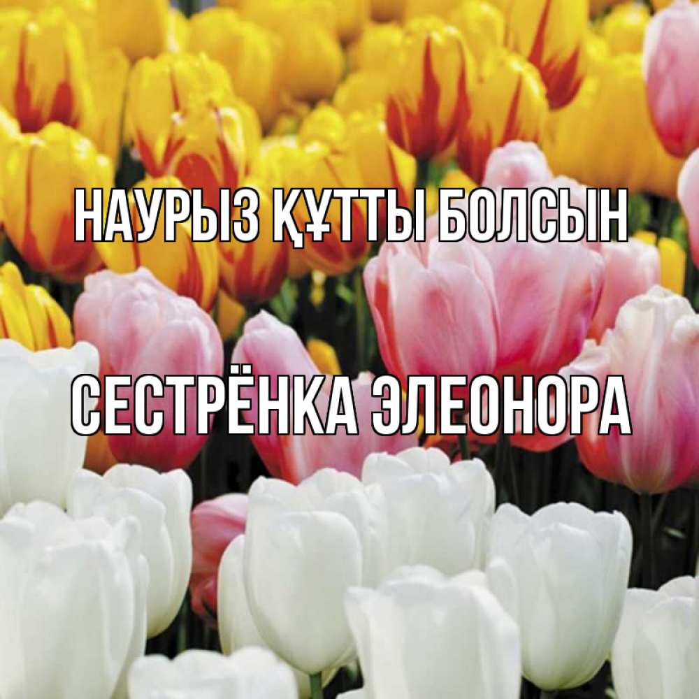 Открытка на каждый день с именем, Сестрёнка-Элеонора Наурыз құтты болсын разноцветные цветы Прикольная открытка с пожеланием онлайн скачать бесплатно 