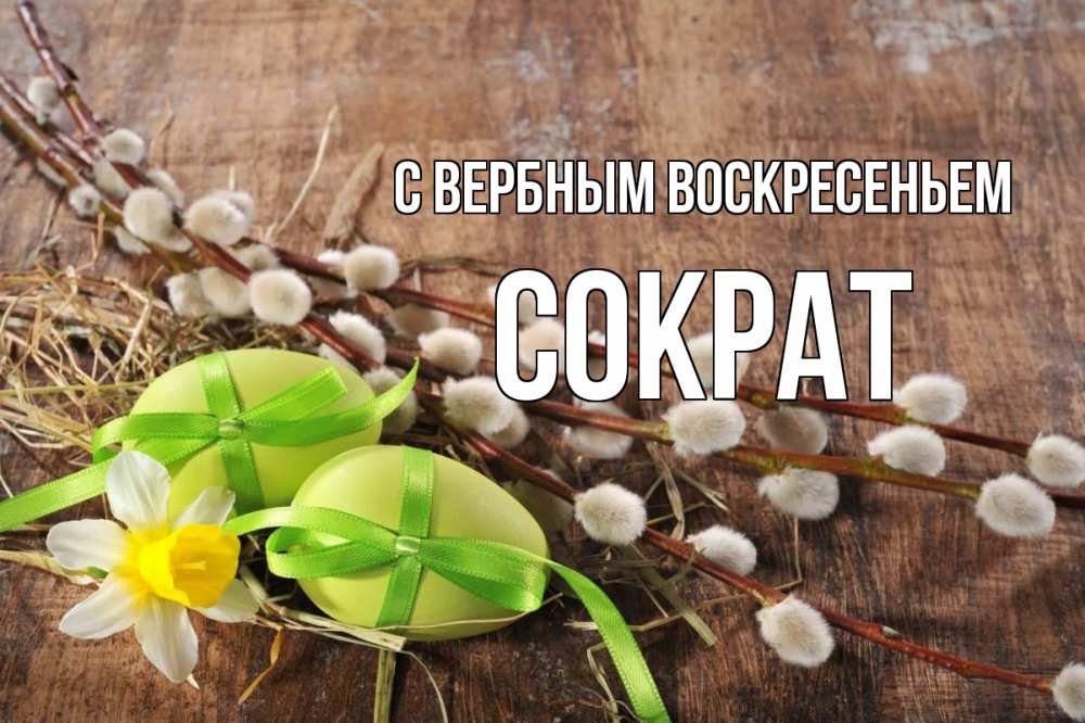 Открытка на каждый день с именем, Сократ С вербным воскресеньем верба Прикольная открытка с пожеланием онлайн скачать бесплатно 