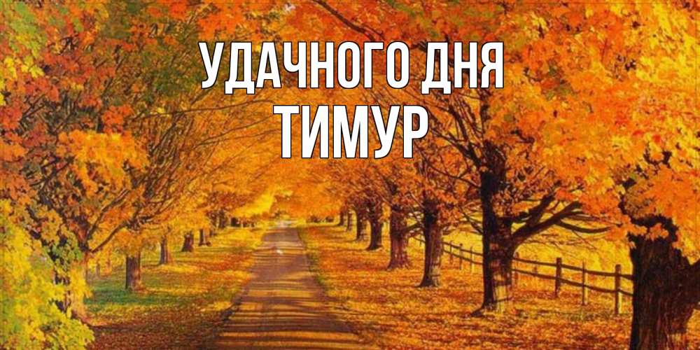 Открытка на каждый день с именем, Тимур Удачного дня деревья с осенними листьями Прикольная открытка с пожеланием онлайн скачать бесплатно 