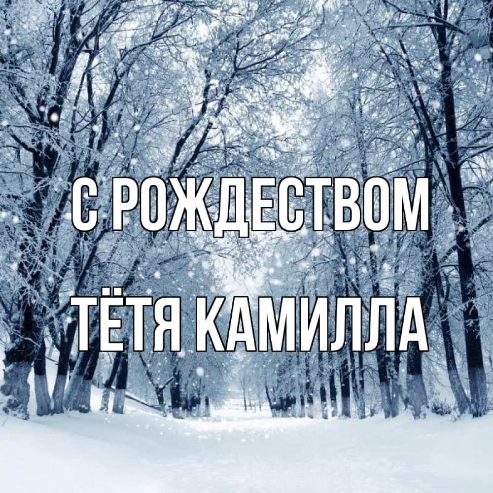 Открытка на каждый день с именем, Тётя-Камилла С рождеством снег, лес, парк Прикольная открытка с пожеланием онлайн скачать бесплатно 
