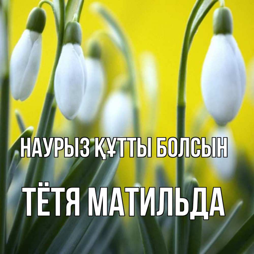 Открытка на каждый день с именем, Тётя-Матильда Наурыз құтты болсын весенние цветы Прикольная открытка с пожеланием онлайн скачать бесплатно 