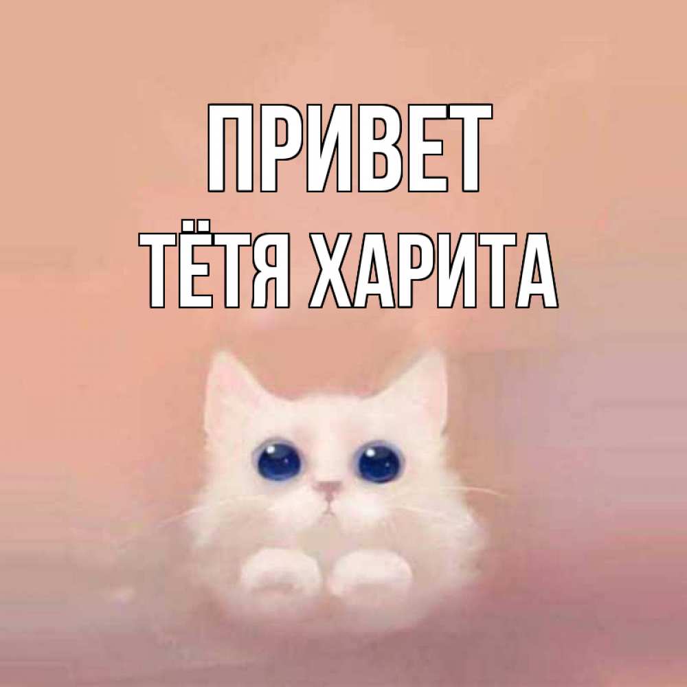 Открытка на каждый день с именем, Тётя-Харита Привет котик белый в полете Прикольная открытка с пожеланием онлайн скачать бесплатно 