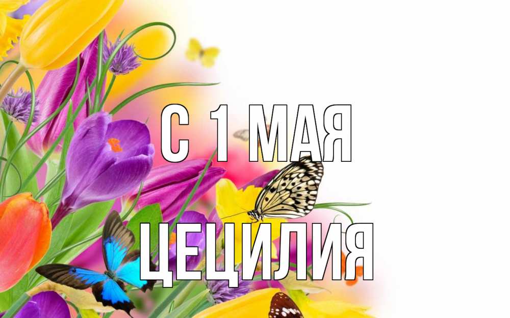 Открытка на каждый день с именем, Цецилия С 1 мая С 1 мая Прикольная открытка с пожеланием онлайн скачать бесплатно 