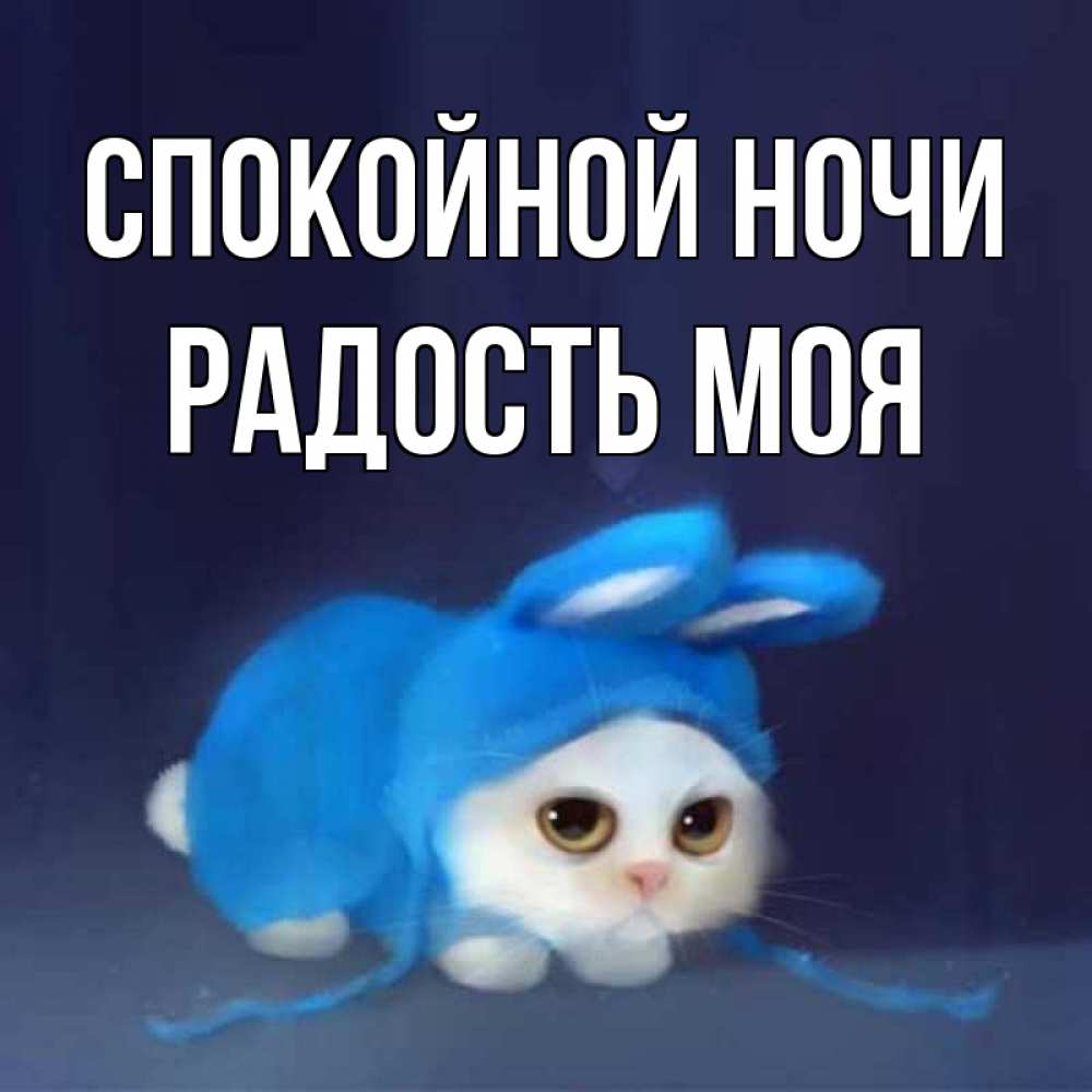 Открытка на каждый день с именем, радость-моя Спокойной ночи кот в голубом костюме кролика с ушками Прикольная открытка с пожеланием онлайн скачать бесплатно 