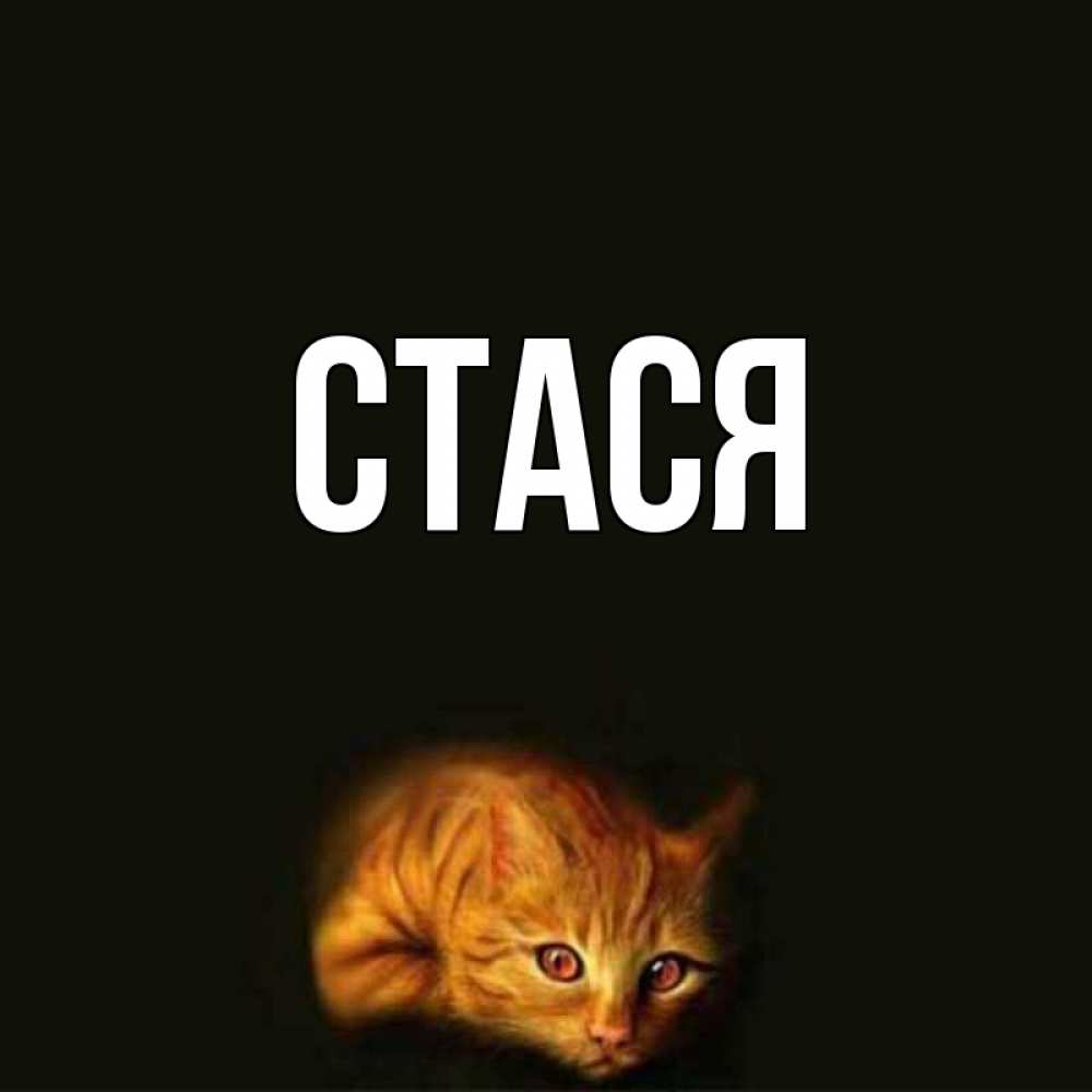 Стася имя