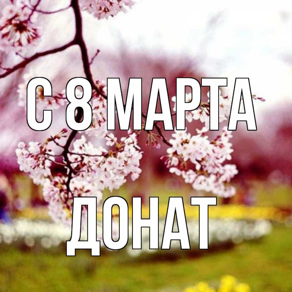 Открытка на каждый день с именем, Донат С 8 МАРТА яблоня Прикольная открытка с пожеланием онлайн скачать бесплатно 