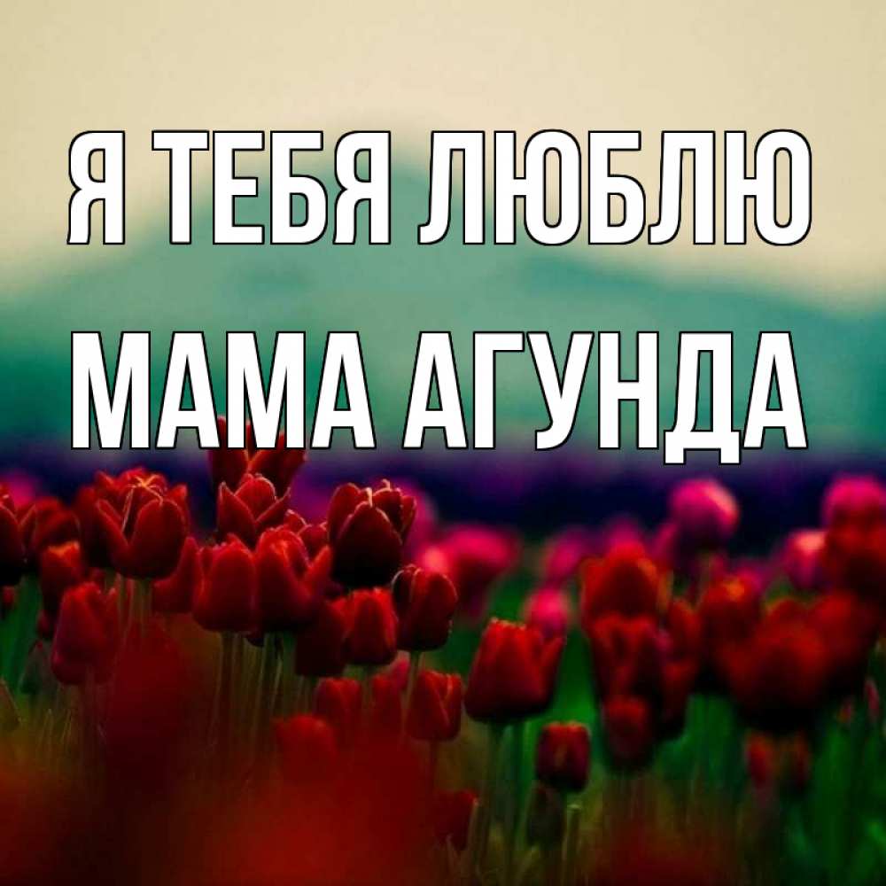 Открытка на каждый день с именем, Мама-Агунда Я тебя люблю тюльпаны 4 Прикольная открытка с пожеланием онлайн скачать бесплатно 