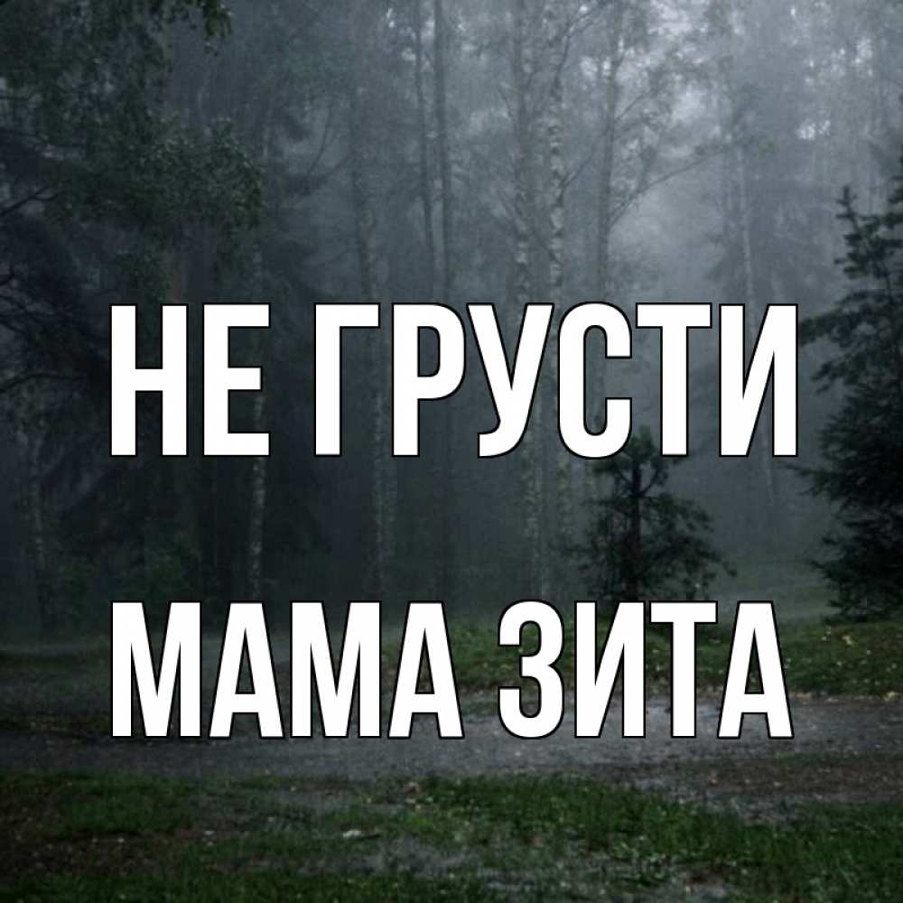 Открытка на каждый день с именем, Мама-Зита Не грусти осень Прикольная открытка с пожеланием онлайн скачать бесплатно 