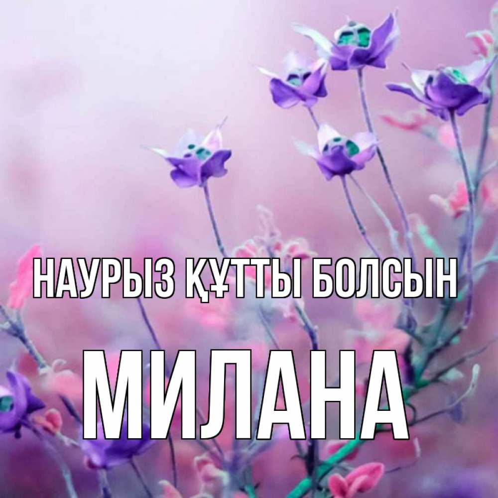 Открытка на каждый день с именем, Милана Наурыз құтты болсын наурыз  2 Прикольная открытка с пожеланием онлайн скачать бесплатно 