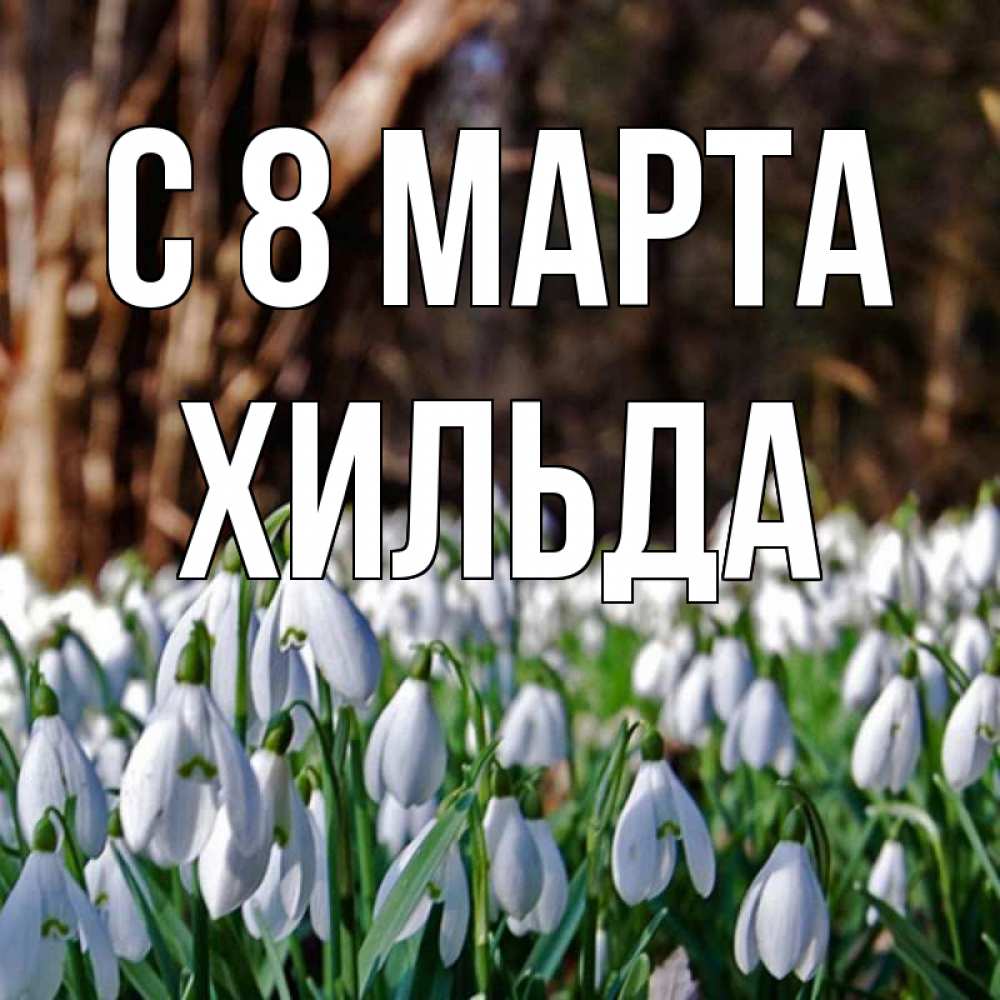 Открытка на каждый день с именем, Хильда С 8 МАРТА с подснежниками 1 Прикольная открытка с пожеланием онлайн скачать бесплатно 