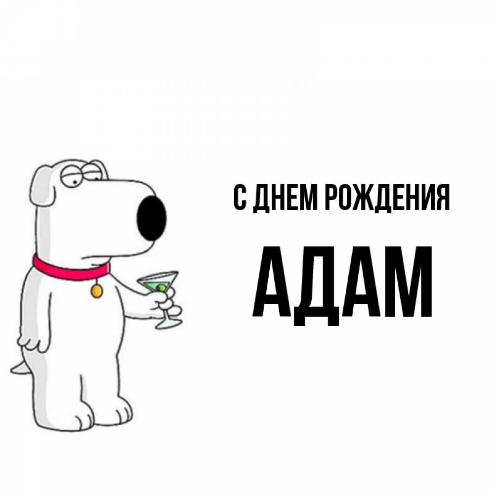 Открытка на каждый день с именем, Адам С днем рождения песик с оливками Прикольная открытка с пожеланием онлайн скачать бесплатно 