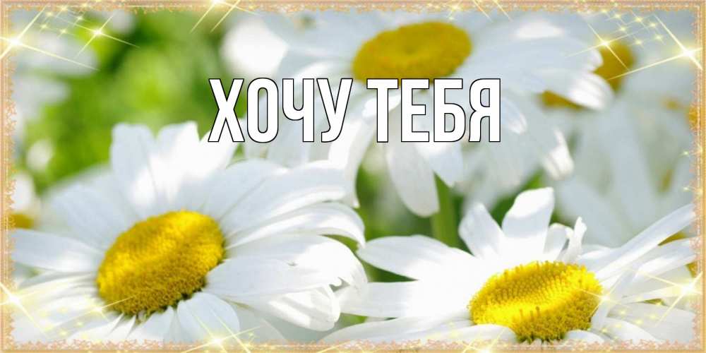 Открытка на каждый день с именем, Хочу-тебя Главная красивые открытки с белыми цветами на международный женский день Прикольная открытка с пожеланием онлайн скачать бесплатно 