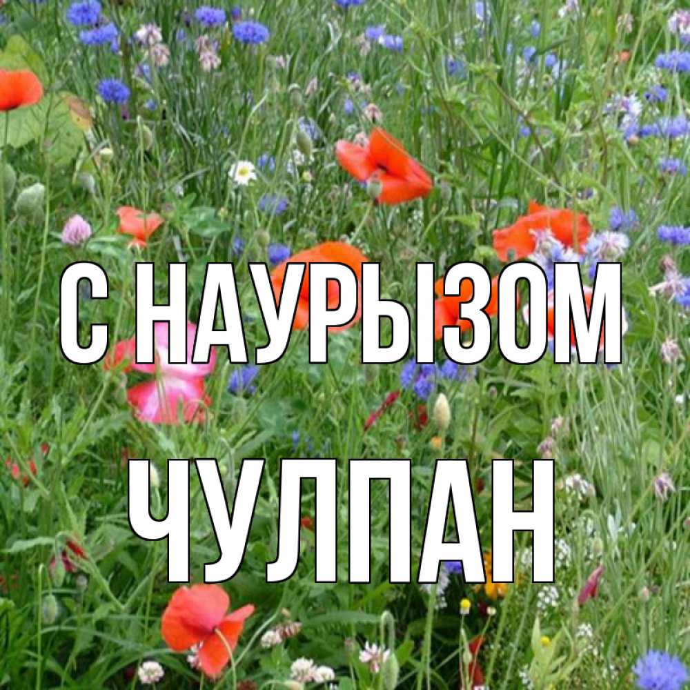 Открытка на каждый день с именем, Чулпан С наурызом праздник весны наурыз супер открытка Прикольная открытка с пожеланием онлайн скачать бесплатно 