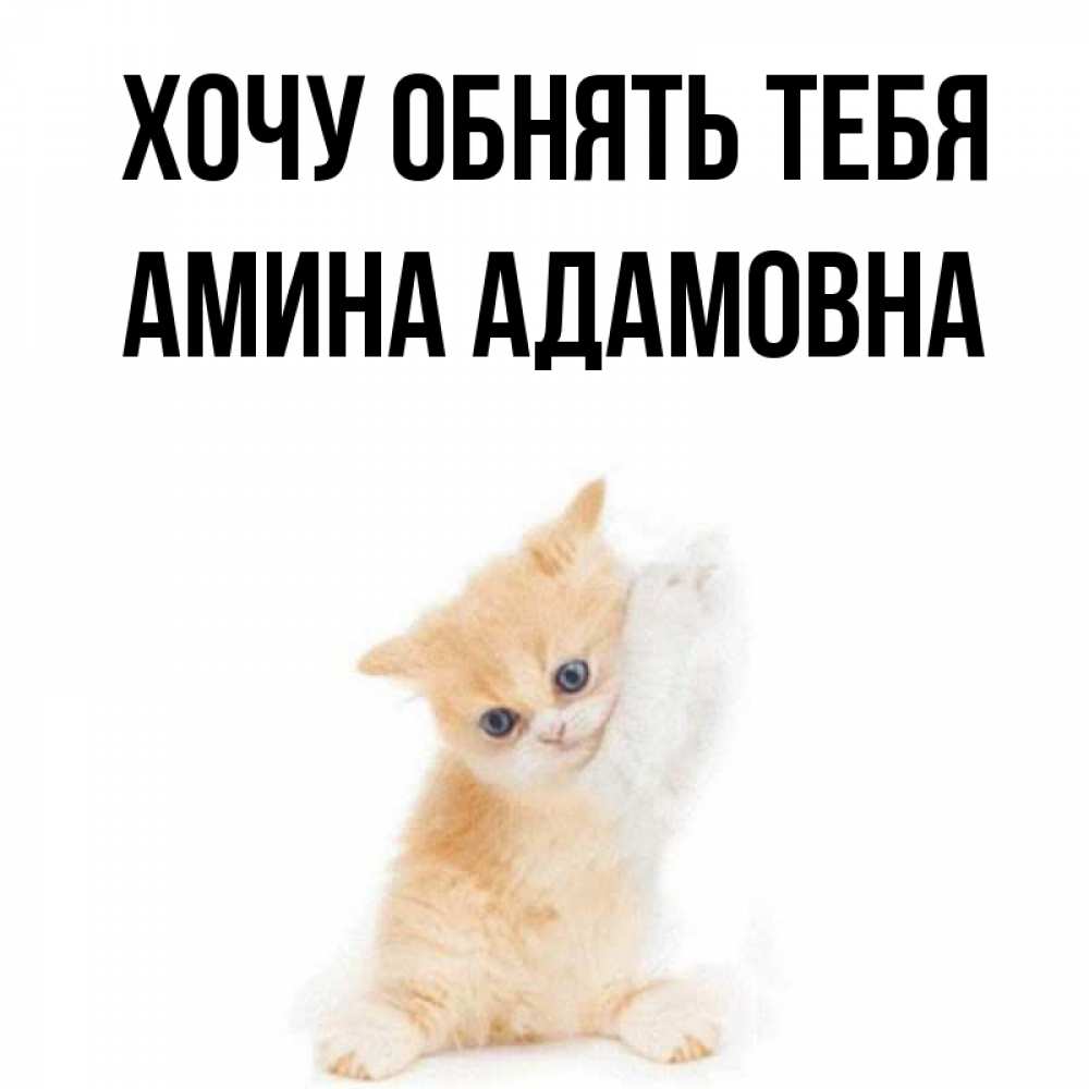 Открытка на каждый день с именем, Амина-Адамовна Хочу обнять тебя я хочу очень скорее обнимаешек Прикольная открытка с пожеланием онлайн скачать бесплатно 