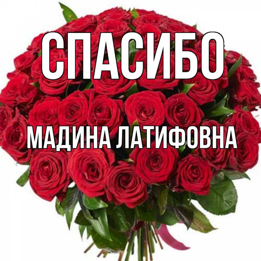 С днем рождения мадина картинки красивые с пожеланиями бесплатно
