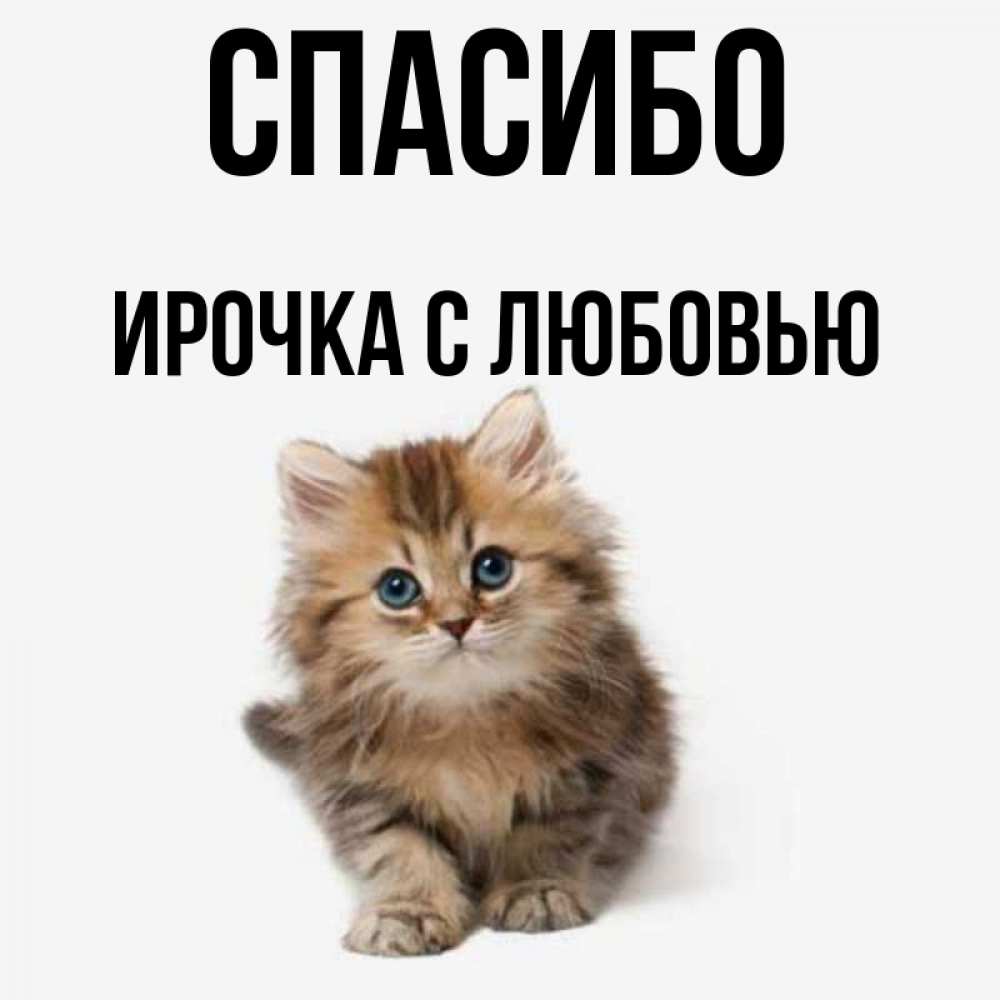 Спасибо ирочка картинки красивые