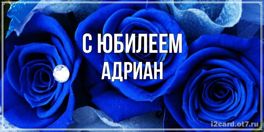 Открытка на каждый день с именем, Адриан С юбилеем синие розы в росе Прикольная открытка с пожеланием онлайн скачать бесплатно 