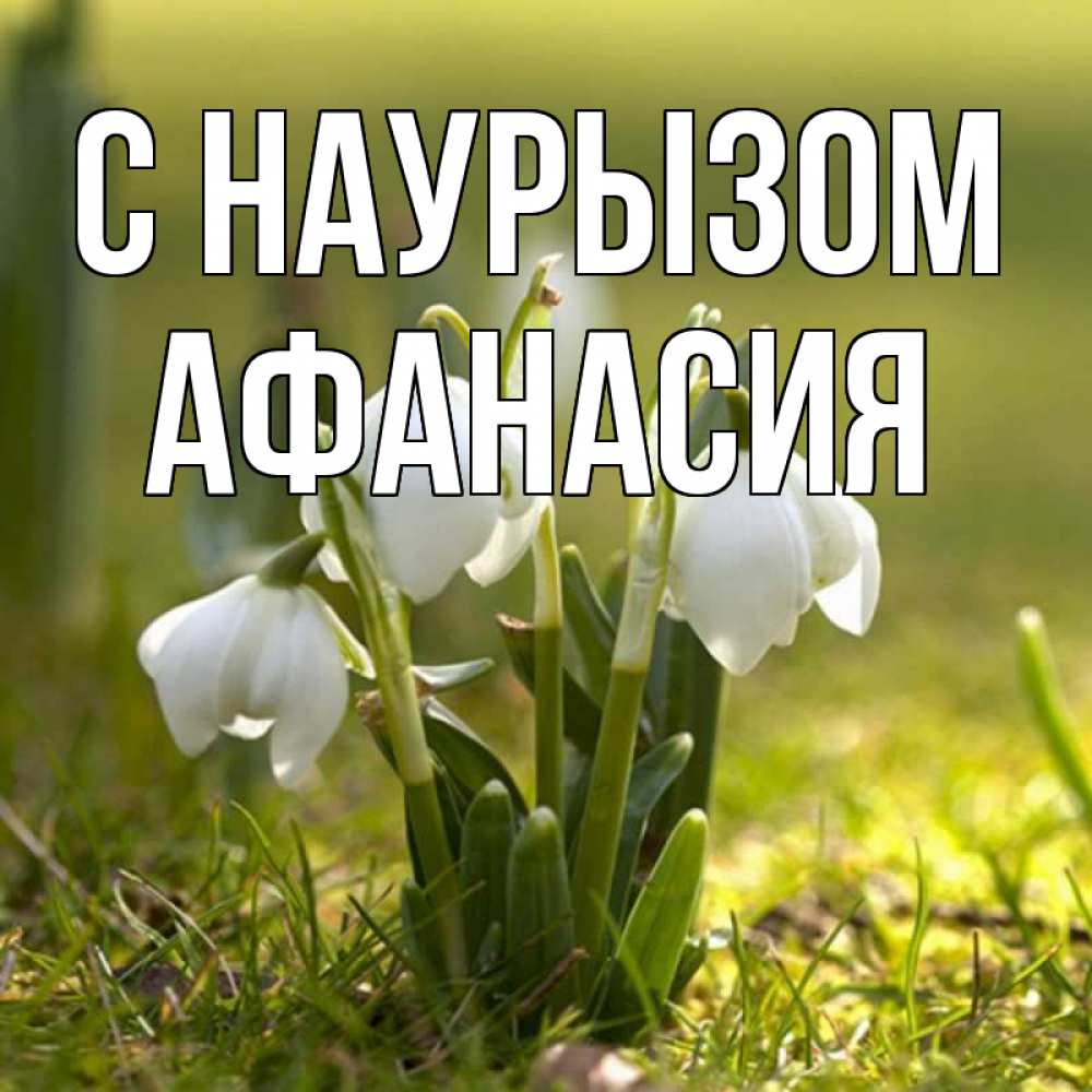 Открытка на каждый день с именем, Афанасия С наурызом ранние цветы 2 Прикольная открытка с пожеланием онлайн скачать бесплатно 