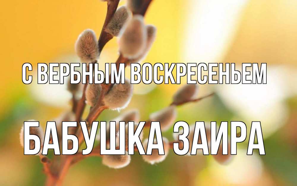 Открытка на каждый день с именем, Бабушка-Заира С вербным воскресеньем верба Прикольная открытка с пожеланием онлайн скачать бесплатно 