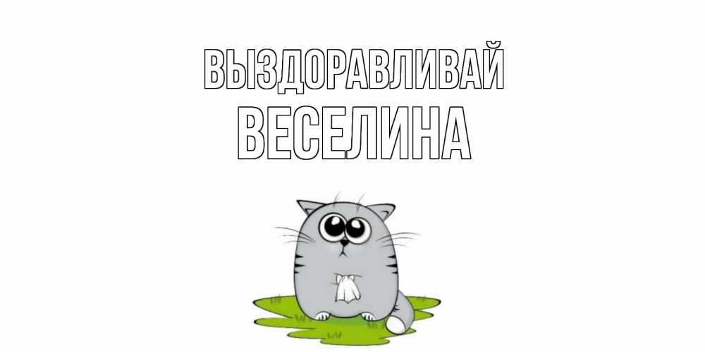 Открытка на каждый день с именем, Веселина Выздоравливай кот и открытки про выздоровление Прикольная открытка с пожеланием онлайн скачать бесплатно 