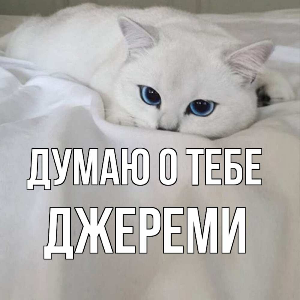 Открытка на каждый день с именем, Джереми Думаю о тебе я очень по тебе скучаю и тоскую Прикольная открытка с пожеланием онлайн скачать бесплатно 