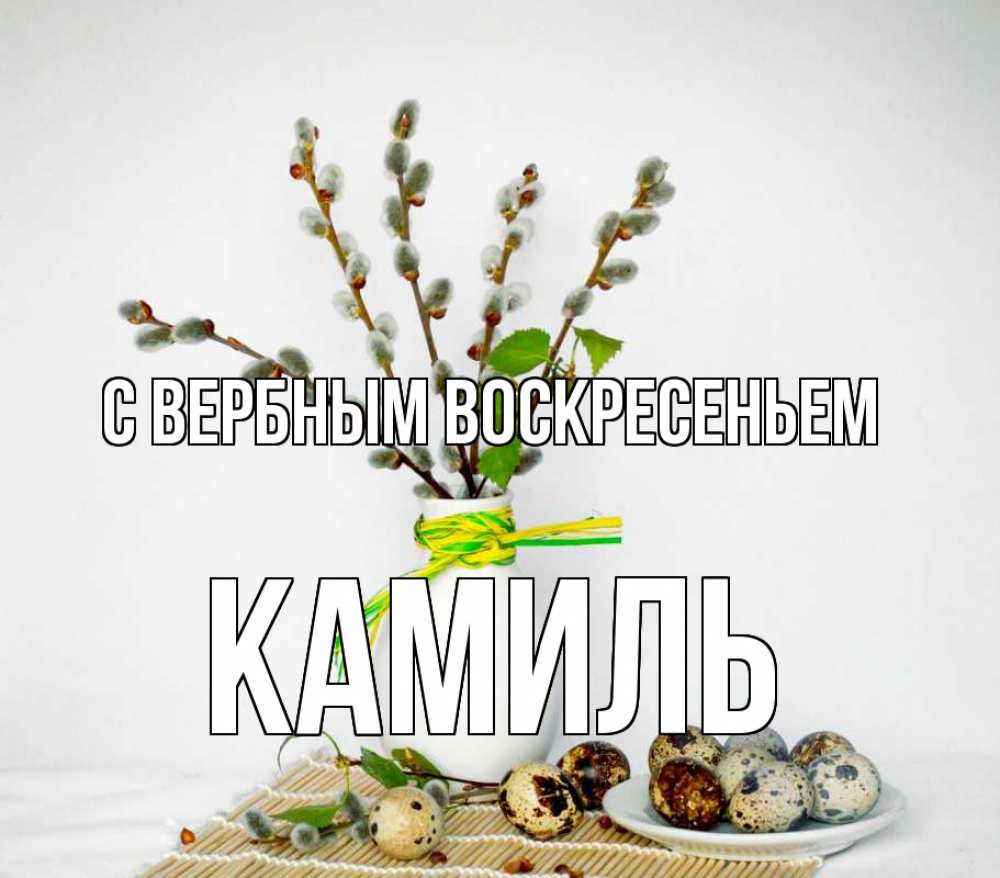 Открытка на каждый день с именем, Камиль С вербным воскресеньем верба Прикольная открытка с пожеланием онлайн скачать бесплатно 