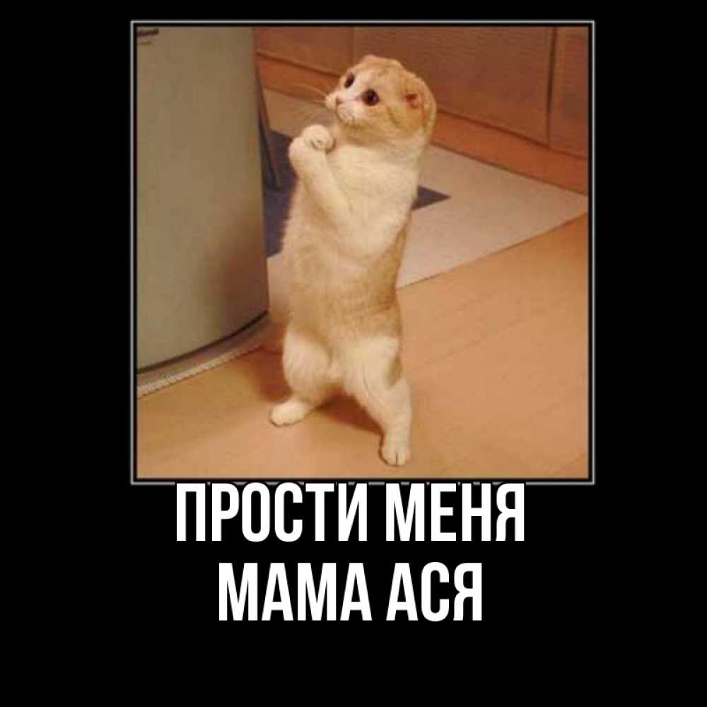 Открытка на каждый день с именем, Мама-Ася Прости меня открытка с милым несчастным котиком просящим прощения Прикольная открытка с пожеланием онлайн скачать бесплатно 