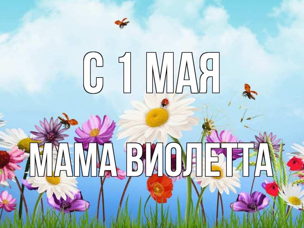 Открытка на каждый день с именем, Мама-Виолетта С 1 мая С 1 мая Прикольная открытка с пожеланием онлайн скачать бесплатно 