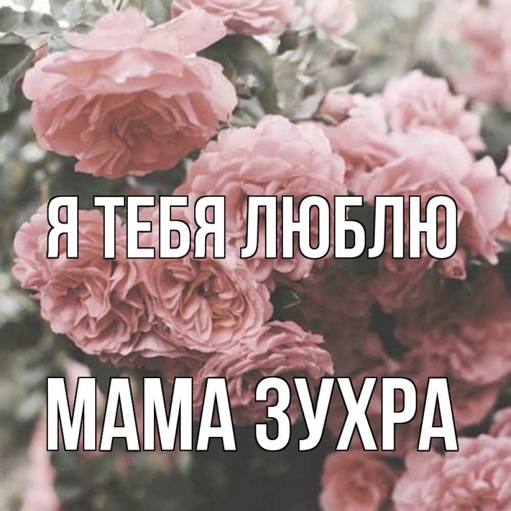 Открытка на каждый день с именем, Мама-Зухра Я тебя люблю розы 3 Прикольная открытка с пожеланием онлайн скачать бесплатно 
