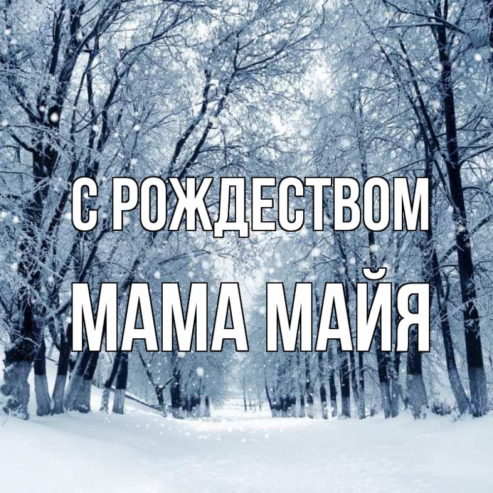 Открытка на каждый день с именем, Мама-Майя С рождеством снег, лес, парк Прикольная открытка с пожеланием онлайн скачать бесплатно 