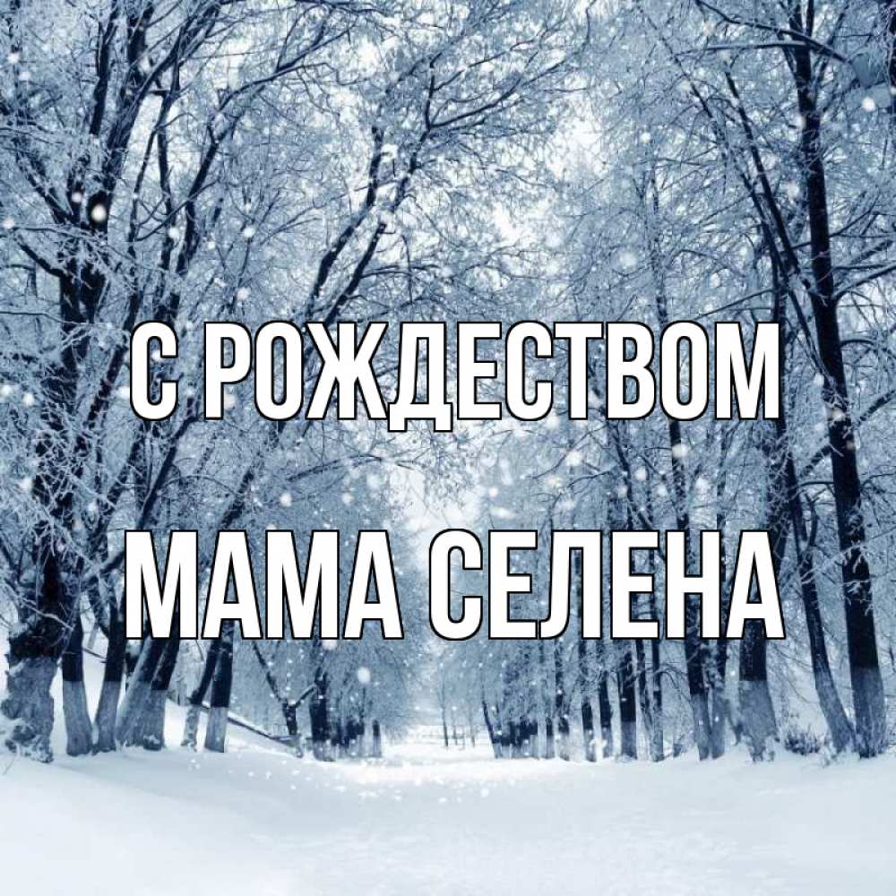 Открытка на каждый день с именем, Мама-Селена С рождеством снег, лес, парк Прикольная открытка с пожеланием онлайн скачать бесплатно 