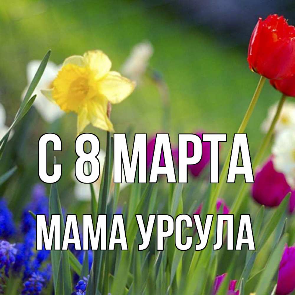 Открытка на каждый день с именем, Мама-Урсула С 8 МАРТА международный женский день 3 Прикольная открытка с пожеланием онлайн скачать бесплатно 
